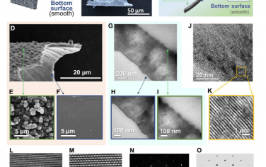 Science Advances：石墨炔中的炔烃到烯烃的转化驱动整个碳膜的瞬时可逆变形