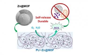 JACS：氧化还原活性 Zn@MOFs 作为自发活性氧释放抗菌剂