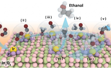 香港理工大学&苏州科技大学Angew：P岛上的Ir单原子实现CO2加氢选择性制备乙醇