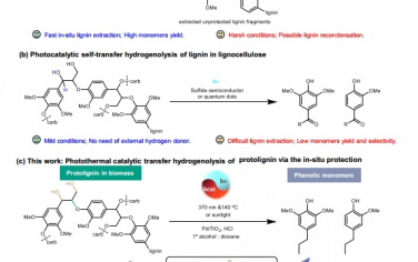 Nat Commun：原木质素的光热催化转移氢解