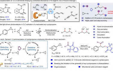 东北师范大学Nature Commun：双功能N-苯甲酰基糖精可见光催化环丙烷的1,3-氨基酰基化