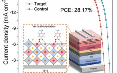 AEM：双位点锚能够实现高效全钙钛矿叠层太阳能电池的垂直分子取向