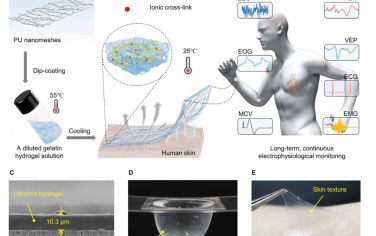 Science Advances：用于长期电生理监测的10微米厚纳米网格增强透气性水凝胶皮肤传感器