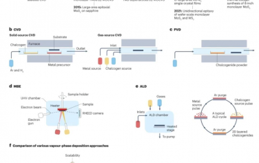 Nature Reviews Materials：二维层状硫族化合物的气相沉积