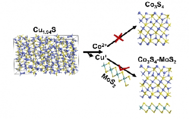 Angew：二硫化钼诱导阳离子交换相控合成多维 Co3S4-MoS2 异纳米结构