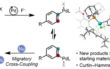 哈佛大学JACS：芳基转移交叉偶联