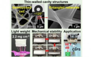 Nano Lett.：具有薄壁腔体结构的高度可压缩微/纳米纤维海绵可降低低频噪声