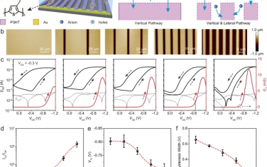 Nature Communications：基于横向嵌插辅助离子传输的高性能有机电化学晶体管