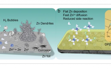AEM：用于实现长期锌离子电池的协同亲锌和疏水超分子屏蔽层
