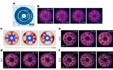 Nature Physics：环原子超流体中剪切流和涡旋阵列不稳定性的连接