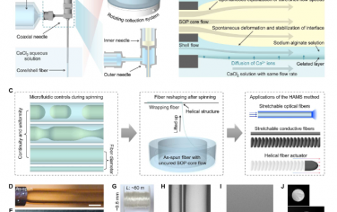 Science Advances：通过流体和界面自适应进行水凝胶辅助可拉伸纤维的微流体纺丝