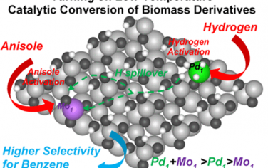 JACS：Pd1和Mo1单原子协同低温生物质转化