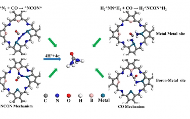 苏州大学JACS：修饰硼和过渡金属的C3N4电催化合成尿素