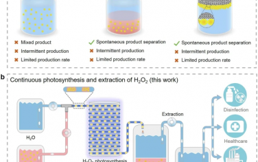 苏州大学Nature Commun：氟烷烃修饰COF不间断光催化合成H2O2