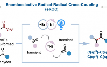 厦门大学JACS：金属光催化C-C烷基立体选择性自由基交叉偶联