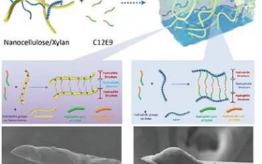 AFM：用于高分辨率垂直3D打印微结构的纳米纤维素基油墨