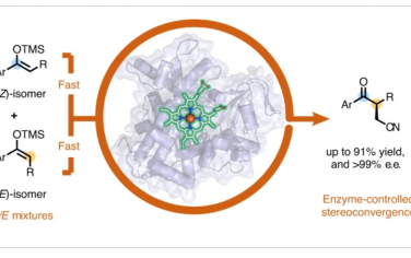 Nature Synthesis：（Z/E）-三取代甲硅烷基烯醇醚的生物催化立体收敛烷基化