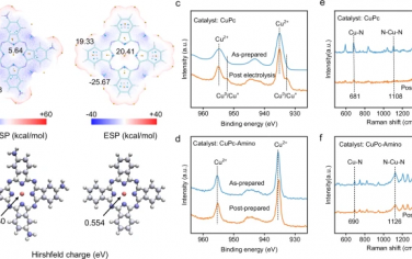 湖南大学Nature Commun：设计CuPc电催化剂的结构增强电催化合成尿素