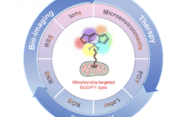 Chem. Soc. Rev.：线粒体靶向BODIPY染料用于小分子识别、生物成像和光动力治疗