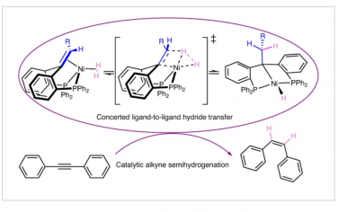 Nature Chemistry：镍（0）-烯烃中心的协同H2活化