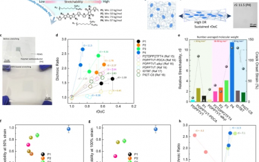 鲍哲南Nature Commun：拉伸能力优异的聚合物半导体