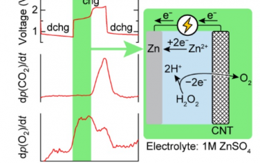 Angew Chem：Zn空气电池中生成H2O2促进高效率OER