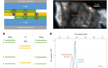 Nature Materials：半导体异质层中四极和偶极激子的观测
