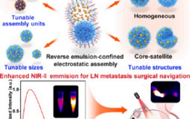 ACS Nano：金纳米团簇可在反乳液中静电组装成结构/尺寸可调的纳米组装体以增强NIR-II荧光成像