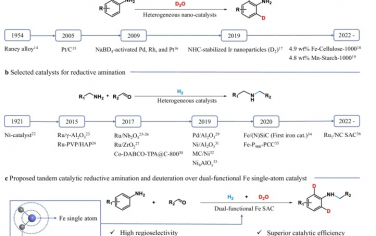 莱布尼兹催化研究所&西北工业大学&卡迪夫大学Nature Commun：磷修饰单原子铁实现还原胺化-氘代串联催化