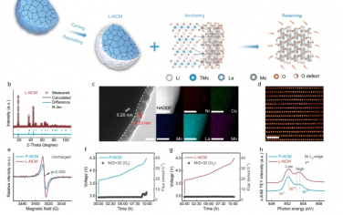 Nat Commun：用于高能锂离子电池的缺氧惰性相稳定高压富镍正极
