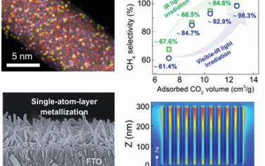 Adv Mater：金属化单原子层半导体表面光催化CO2制备CH4