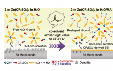 ACS Nano：盐阴离子两亲性激活电解质共溶剂选择策略以获得耐用的锌金属阳极