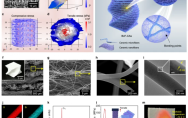 Nat. Commun.：仿生Bouligand手性纤维阵列实现强超弹性陶瓷气凝胶