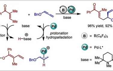 南开大学JACS：硼烷-Pd协同催化烯酮联烯不对称加成