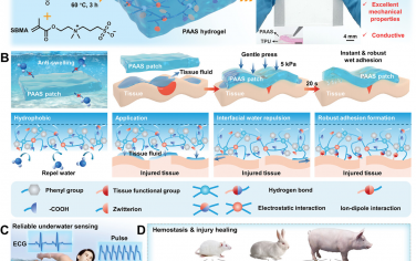 AM：一种用于快速止血、加速组织损伤愈合和生物电子学的湿粘附和抗膨胀水凝胶