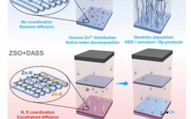 AEM：界面双配位效应引导可逆锌金属阳极均匀电沉积
