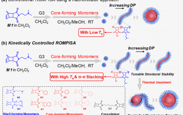 JACS：具有可调直径/长度和结构稳定性的蠕虫状胶束的动力学控制制备