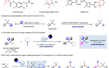 南京大学Nature Commun：光诱导Cu催化脱氟C-N偶联
