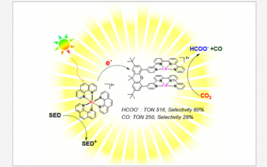 JACS：同双金属配合物的可见光驱动CO2还原。金属间的协同作用与不同途径的激活