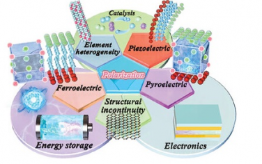Adv Mater综述：极化现象在能源、环境、电子等领域的应用