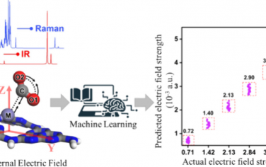 中科大JACS：机器学习光谱定量揭示电场效应对CO2电催化的作用