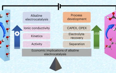 Nature Catalysis：碱性电催化体系合成羧酸的经济性探讨