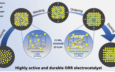 JACS：含CoN的PtCo金属间纳米催化剂实现优异的性能