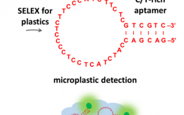 Angew：塑料结合DNA适配体用于检测微塑料