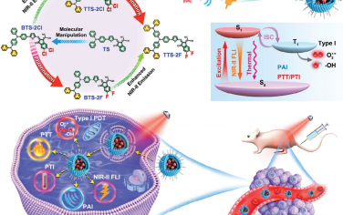 Adv. Mater：NIR-II AIE脂质体可增强乳腺癌I型光动力-温和光热治疗