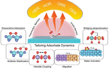 Adv Mater综述：溶液相电催化的表面吸附物动态调控的方法