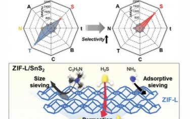 AFM：在SnS2纳米片上原位生长二维MOF作为分子筛层以实现选择性H2S检测