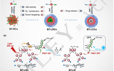 Angew：可精准靶向肿瘤的糖基化AIE红光触发光笼用于协同I型光动力治疗和CPT化疗