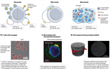  Nat. Rev. Bioeng：用于细胞治疗的药物递送系统