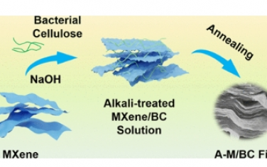 ACS Nano：调节官能团可增强超级电容器中柔性微孔 MXene细菌纤维素电极的性能